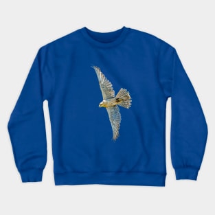 Gyr Falcon Crewneck Sweatshirt